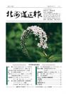 第1031号 表紙
